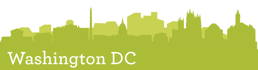 DC Skyline footer